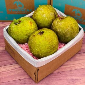 Breadfruit (Panapen, Ulu) Box