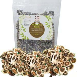 Moringa Seeds 1500